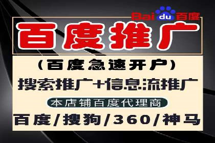 成功案例解析：SEO与SEM协同营销策略